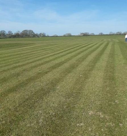 N/S Strip