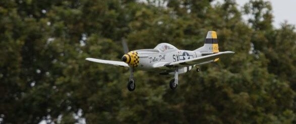 P51 on Finals